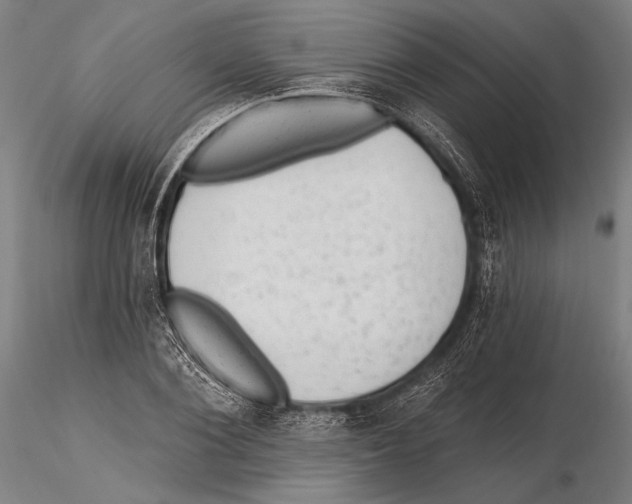 X0000115380884200912011202