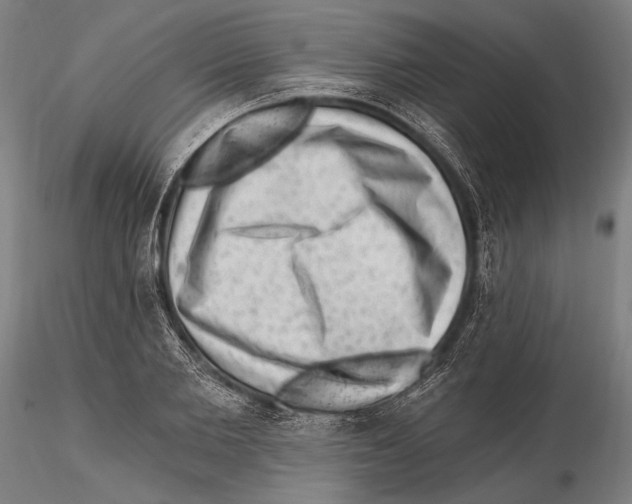 X0000115380885200912011202