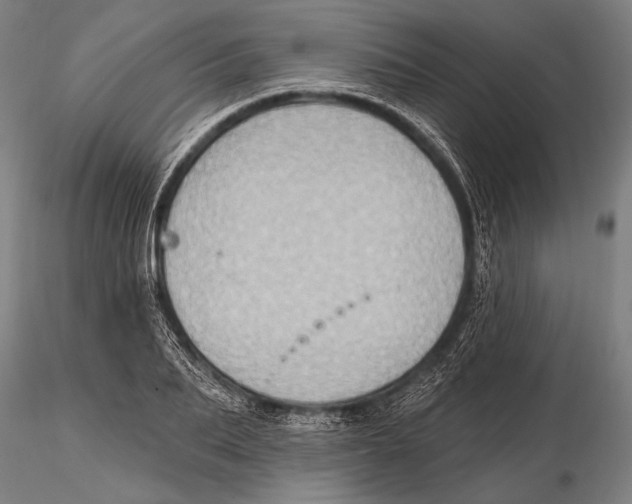 X0000115380887200912011202