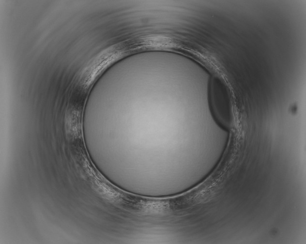 X0000115380889200912011202