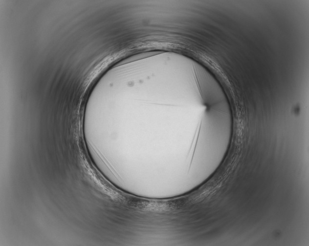 X0000115380890200912011202