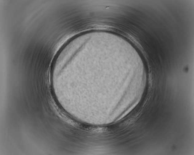 X0000115380891200912011202