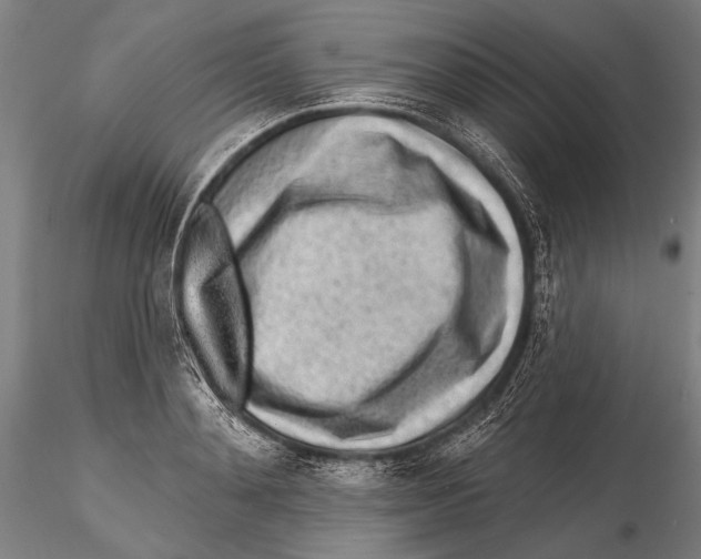 X0000115380892200912011202