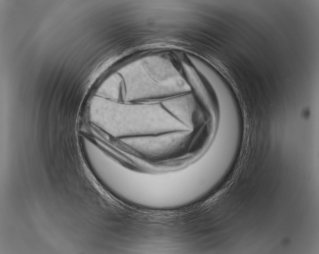 X0000115380893200912011202