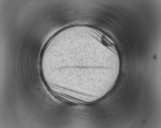 X0000115380894200912011202