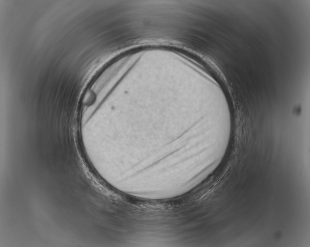 X0000115380895200912011202