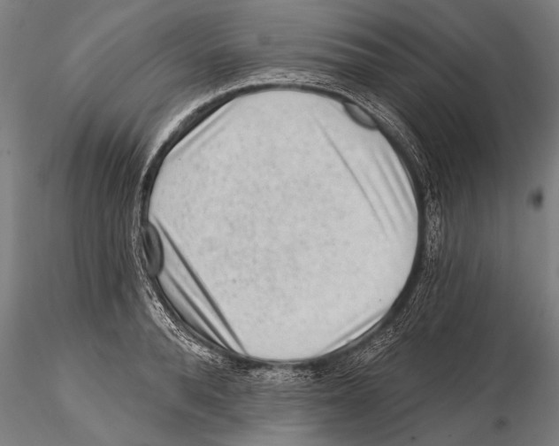 X0000115380896200912011202