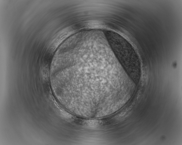 X0000115380897200912011202