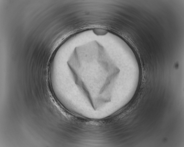 X0000115380898200912011202