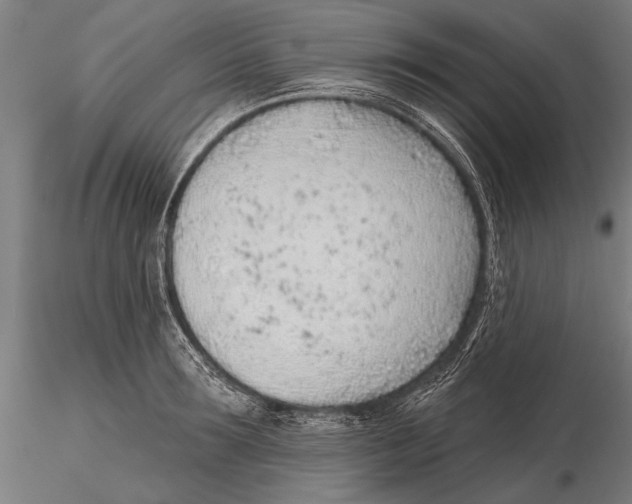 X0000115380899200912011202