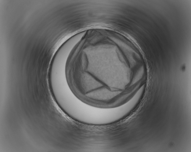 X0000115380901200912011202