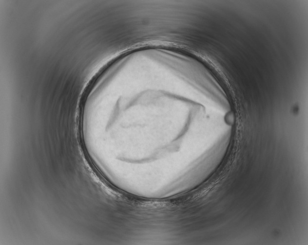 X0000115380902200912011202