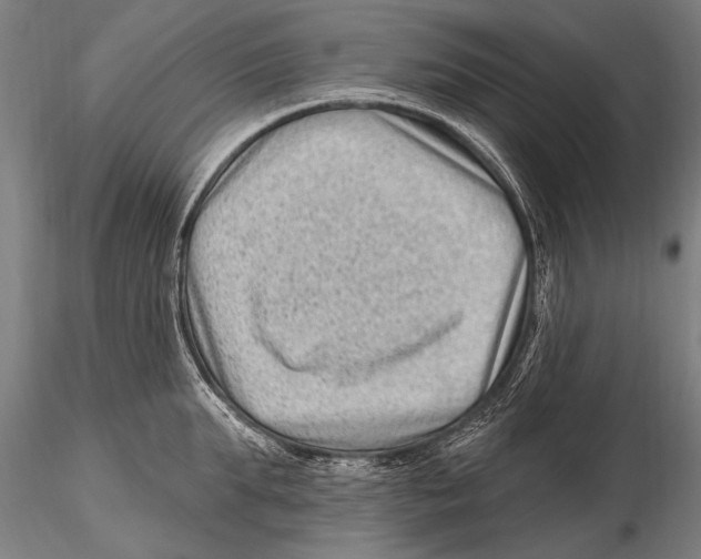 X0000115380903200912011202