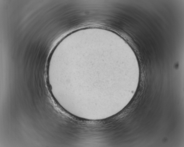 X0000115380904200912011202