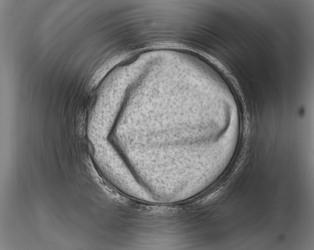 X0000115380905200912011202