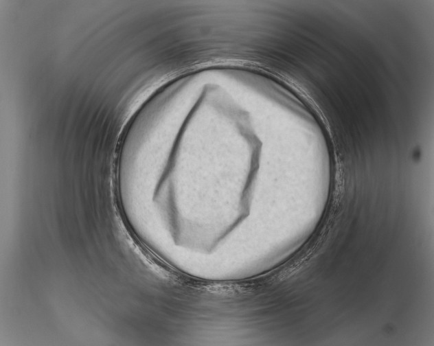 X0000115380906200912011202