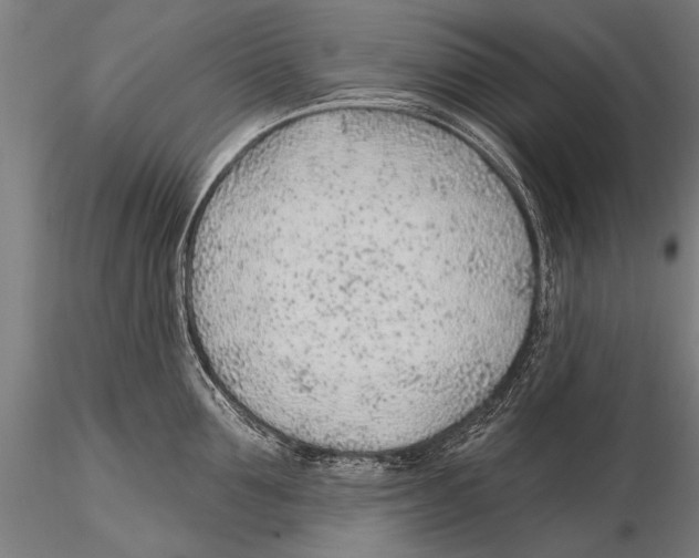 X0000115380907200912011202