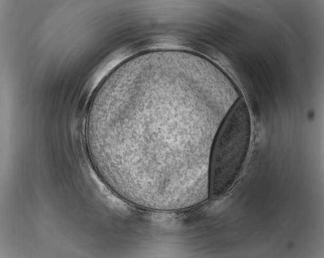 X0000115380909200912011202