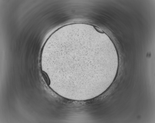 X0000115380912200912011202