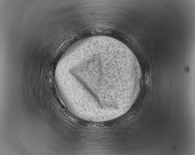 X0000115380915200912011201