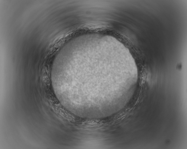 X0000115380917200912011201