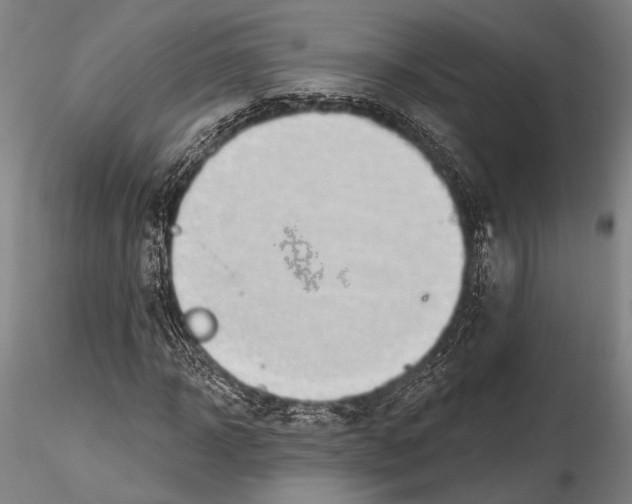 X0000115380918200912011201