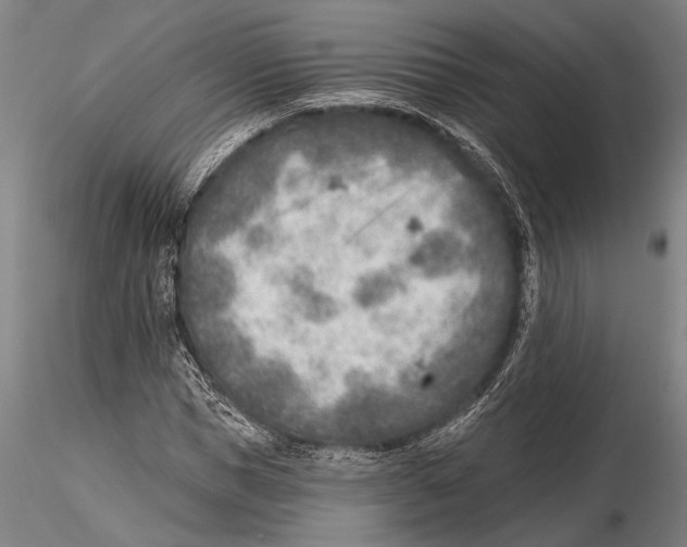 X0000115380921200912011201