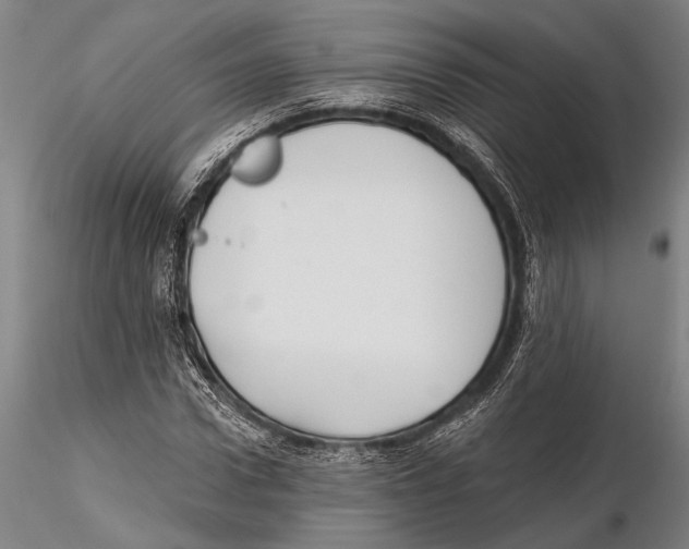 X0000115380922200912011201