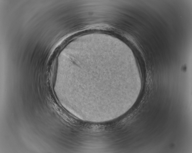 X0000115380923200912011201