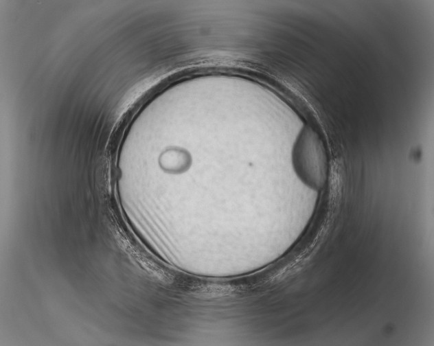 X0000115380925200912011201