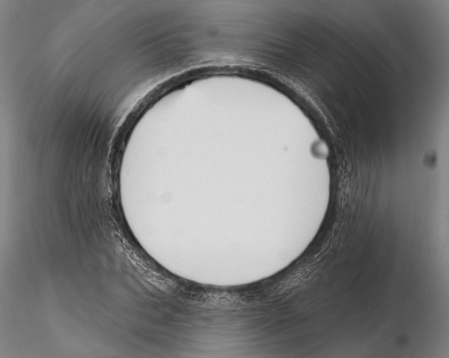 X0000115380927200912011202