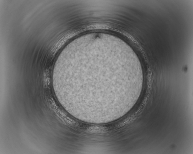 X0000115380929200912011202