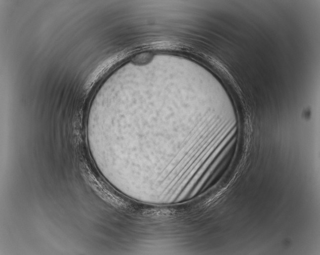 X0000115380930200912011202