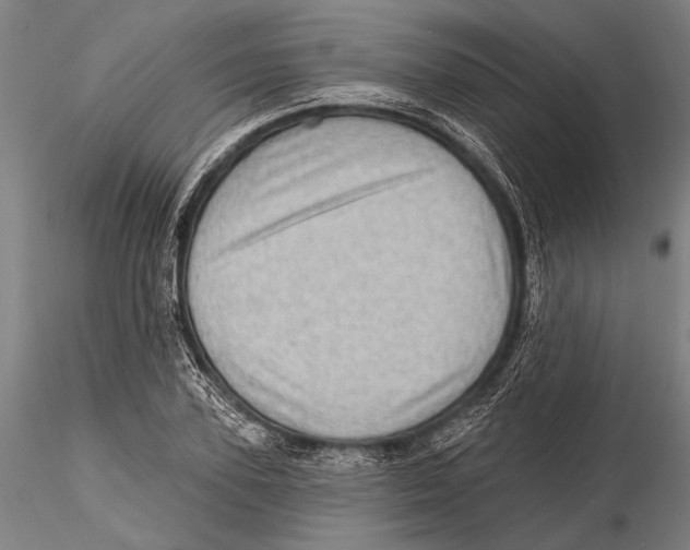 X0000115380931200912011202