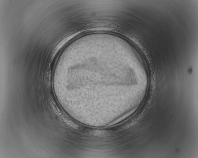 X0000115380933200912011202