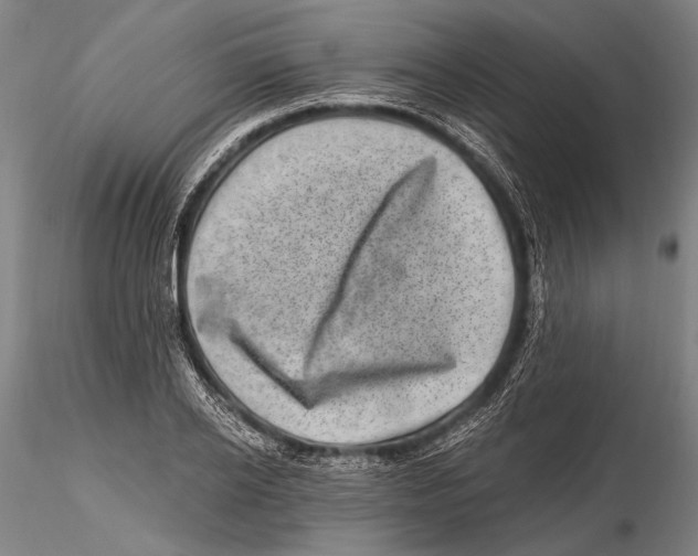 X0000115380934200912011202