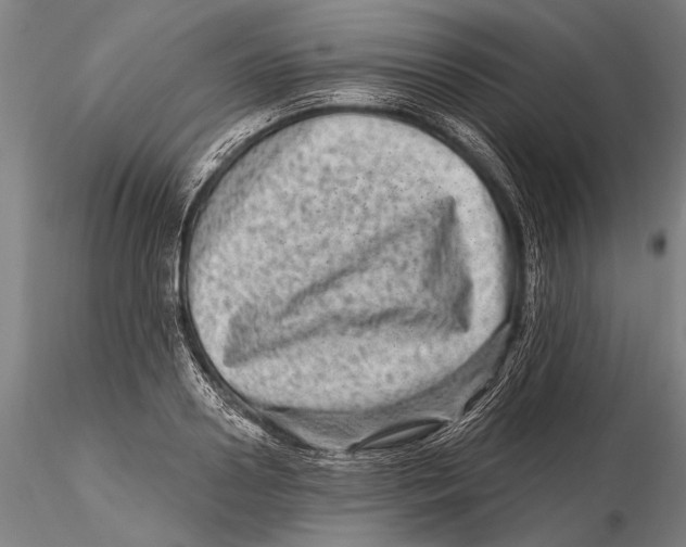 X0000115380938200912011202