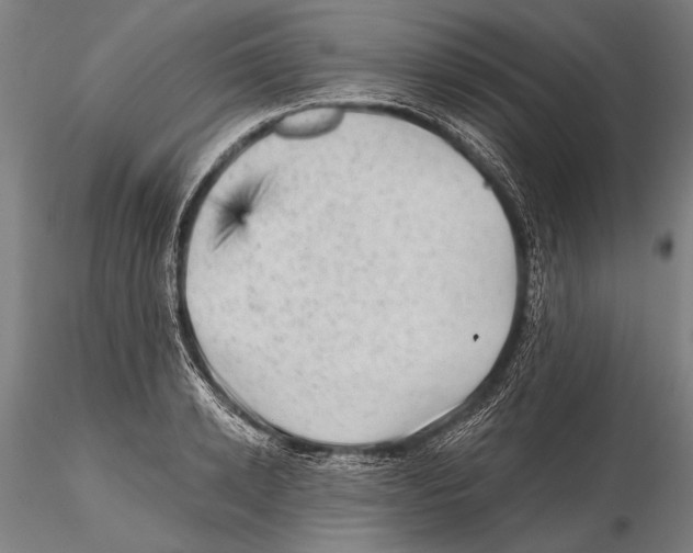 X0000115380942200912011202