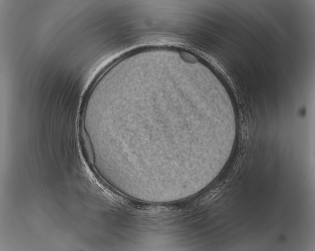 X0000115380943200912011202