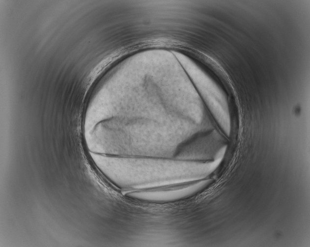 X0000115380946200912011202