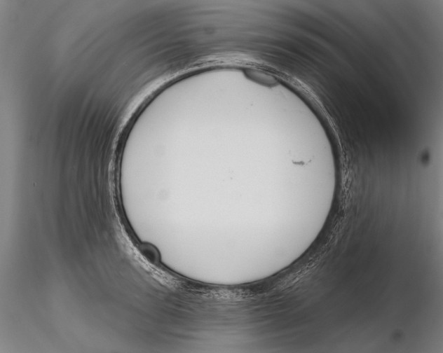 X0000115380947200912011202