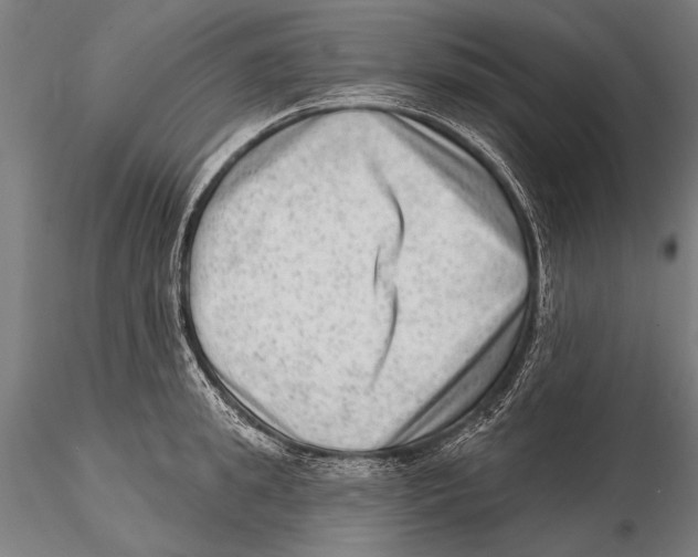 X0000115380949200912011202