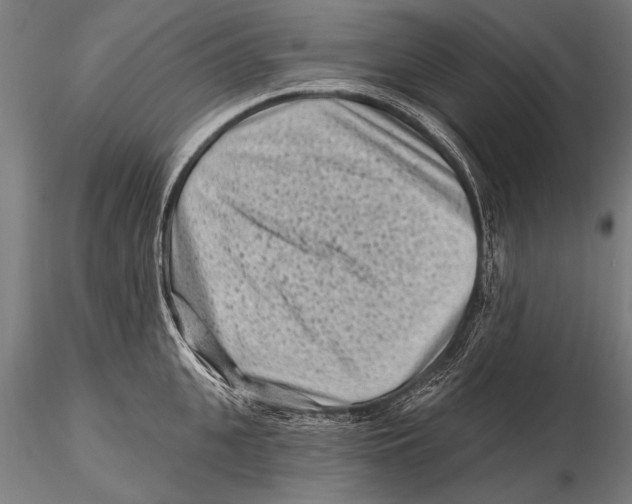 X0000115380951200912011202