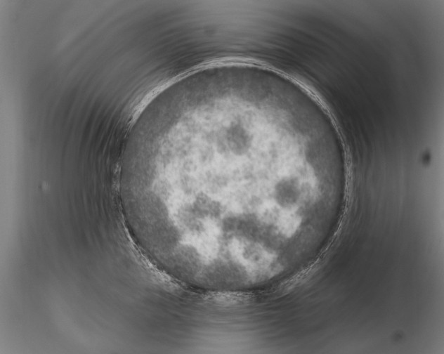 X0000115380953200912011202