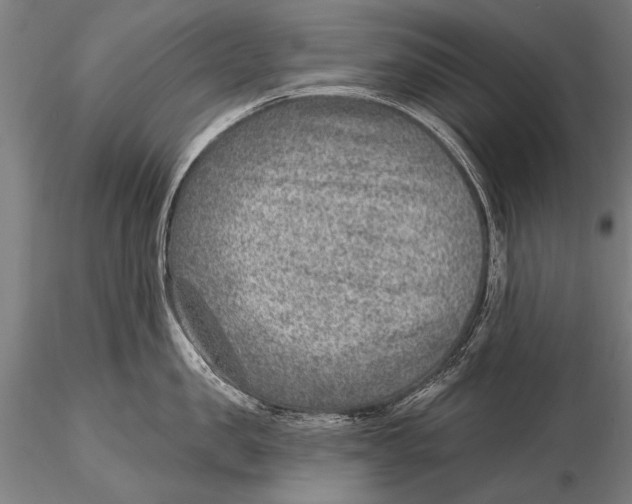 X0000115380957200912011202