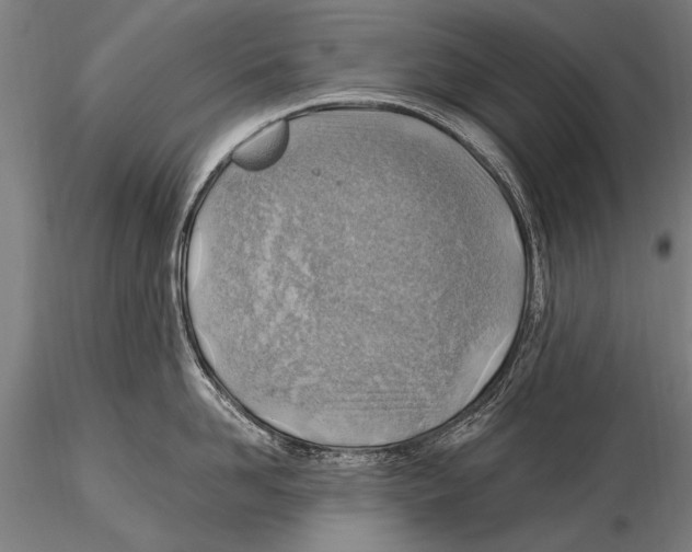 X0000115380958200912011202