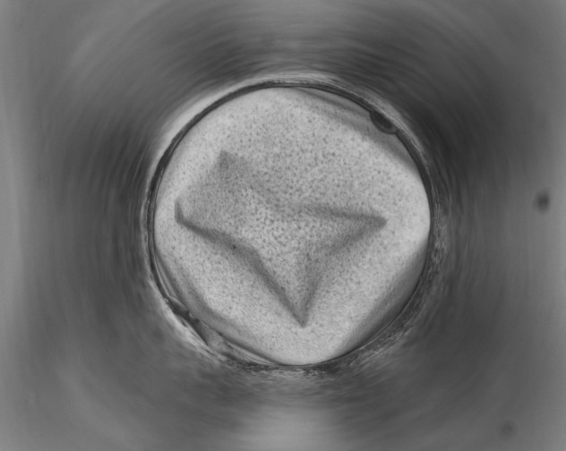 X0000115380959200912011202