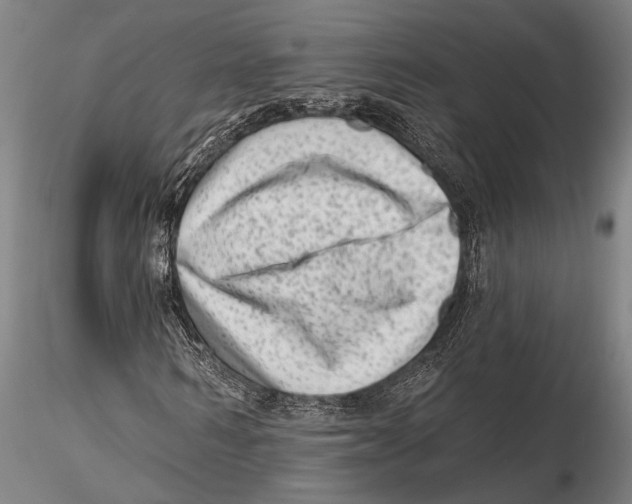 X0000115380962200912011201