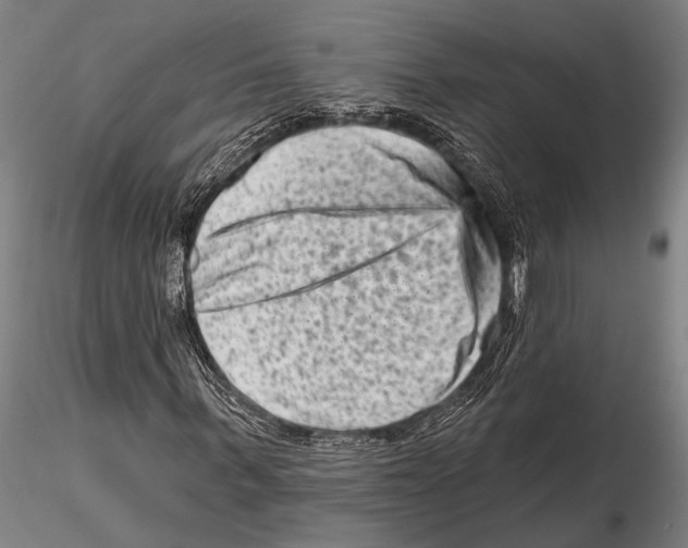 X0000115380963200912011201