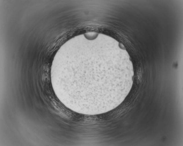 X0000115380964200912011201